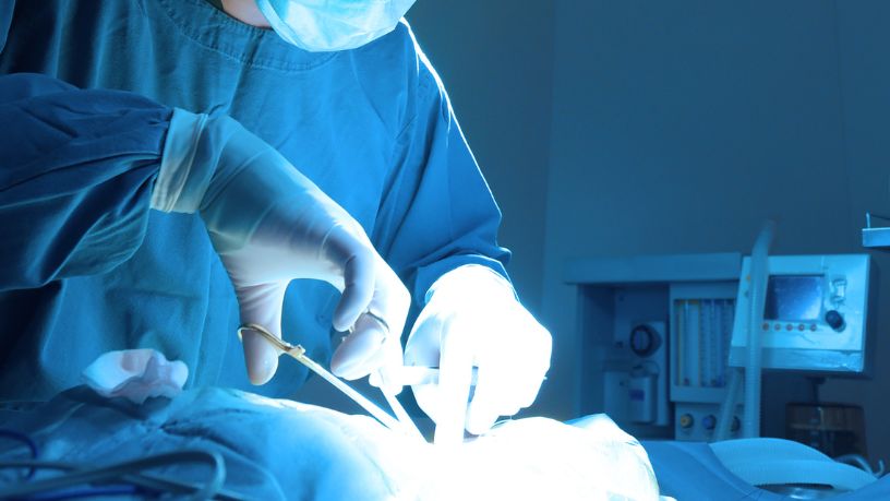 Ailthon Luiz Takishima