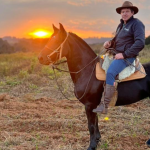 Altevir Seidel revela como a alimentação equilibrada é a base do bem-estar e da performance de um cavalo saudável.