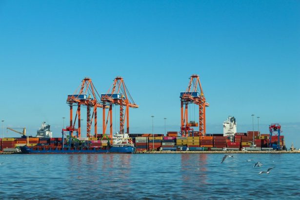Porto de contêineres com guindastes e navios em uma área industrial.